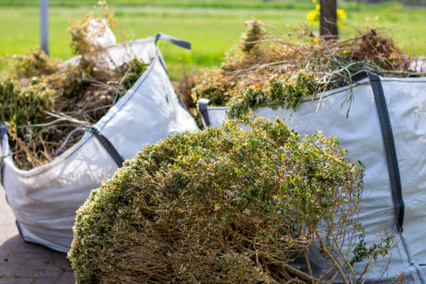 Best Yard Waste Removal  in Edgewater, MD